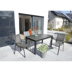 Plantiflor Margeritenbusch weiß im Topf Durchmesser 18 cm