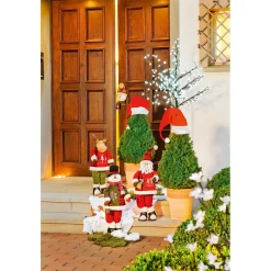 Plantiflor Zuckerhutfichte 80-100 cm