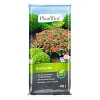 Plantiflor Graberde 40 L