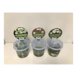 Plantiflor Schwimmpflanzen im Becher Topf Durchmesser 13 cm