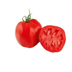 Plantiflor Veredelte Salattomate Topf Durchmesser 12 cm