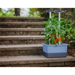 Rankhilfe Charly Chily blau