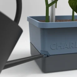 Rankhilfe Charly Chily blau