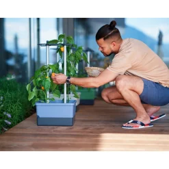 Rankhilfe Charly Chily blau