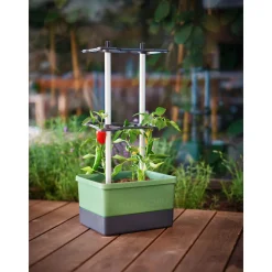 Rankhilfe Charly Chily dunkelgruen