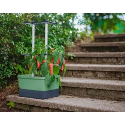 Rankhilfe Charly Chily dunkelgruen