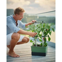 Rankhilfe Charly Chily dunkelgruen