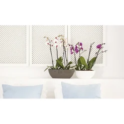 Schale Bahia Plant Box 45 cm anthrazit