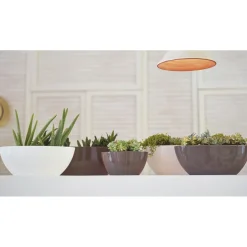 Schale Bahia Plant Box 45 cm anthrazit