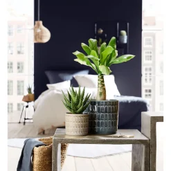 Scheurich Übertopf Alma Durchmesser 16 cm grau