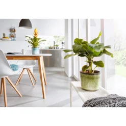 Scheurich Übertopf Ocean Glaze 870 13 cm