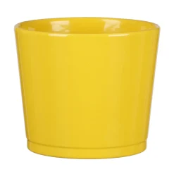 Scheurich Frühlingstopf Sevilla 883 10 cm gelb