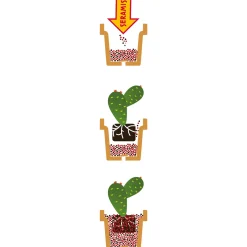 Seramis Spezial-Substrat für Kakteen/ Sukkulenten 7 L