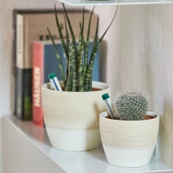 Seramis Spezial-Substrat für Kakteen/ Sukkulenten 7 L