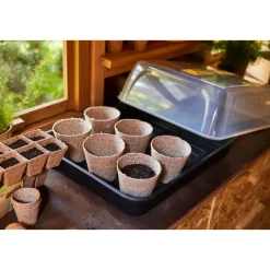 SIENA GARDEN Gewächshaus XXL inkl Deckel 52 x 142 x 23 cm