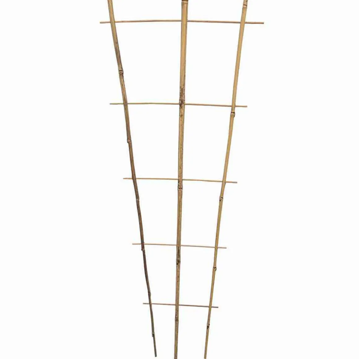 Siena Garden Rankgitter Bambus 85 x 33 x 12 cm