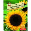 Sonnenblume Full Sun 180-200 cm