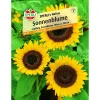 Sonnenblume SPERLIS´s Helios 150 cm