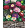 Sperli Astern Pompon Mischung