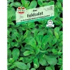 Sperli Feldsalat Elan Variante 2