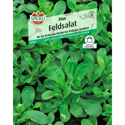 Sperli Feldsalat Elan Variante 2