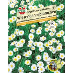 Sperli Gänseblümchen s Tausendschön