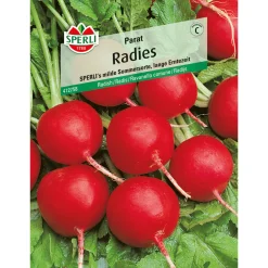 Sperli Radieschen ngs Parat