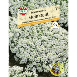 Sperli Steinkraut s Schneeteppich