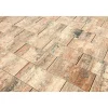 Terrassenplatte No 1 Nature Muschelbeige