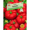 Tomate Delizia