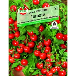 Tomate Donna Topftomate 20-40 cm