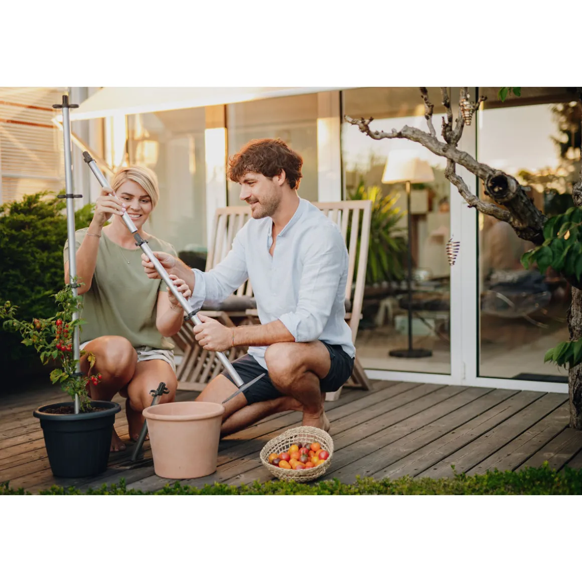 Tomatenrankhilfe Tomato Buddy