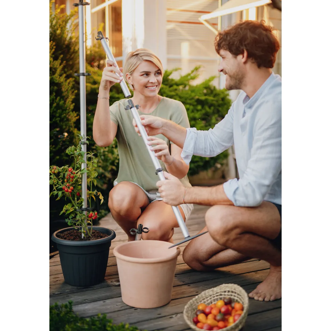 Tomatenrankhilfe Tomato Buddy