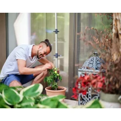 Tomatenrankhilfe Tomato Buddy 3er Set