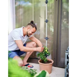 Tomatenrankhilfe Tomato Buddy 3er Set