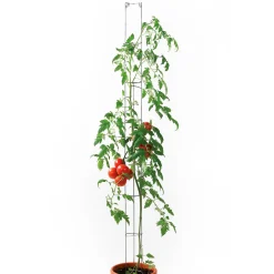 Tomatensäule 9 x 160 cm