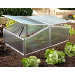 Vitavia Frühbeet Gaia XS 100 x 39 x 60 cm transparent