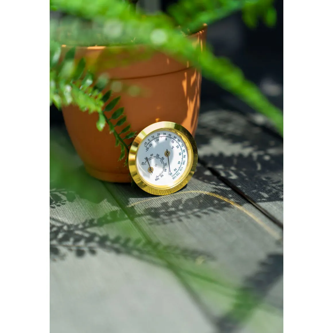 Vitavia Hygrometer Blister