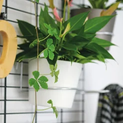 Wandgarten Fermo Einhänger Set 3 Stück