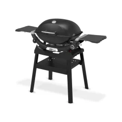 Weber Gasgrill mit Stand Q2200N