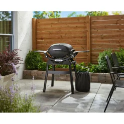 Weber Gasgrill mit Stand Q2200N