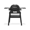 Weber Gasgrill mit Stand Q1200N