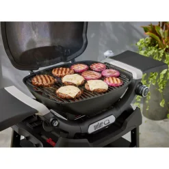 Weber Gasgrill mit Stand Q1200N