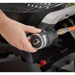 Weber Gasgrill Q1200N