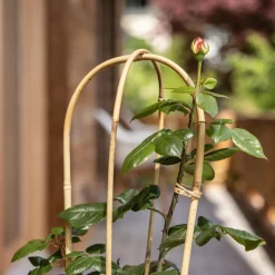 Windhager Bambus-Rankbogen 90 cm