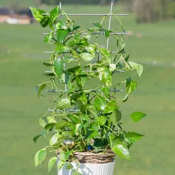 Windhager Blumenstütze 44x24 cm metall