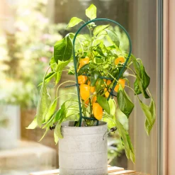 Windhager Bogenspalier 44x19 cm