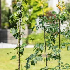 Windhager Fiberglas Pflanzstab 120 cm Durchmesser 8 mm