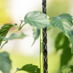 Windhager Fiberglas Pflanzstab 120 cm Durchmesser 8 mm