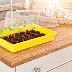 Windhager Haube für Saatschalen 38x24x13 cm